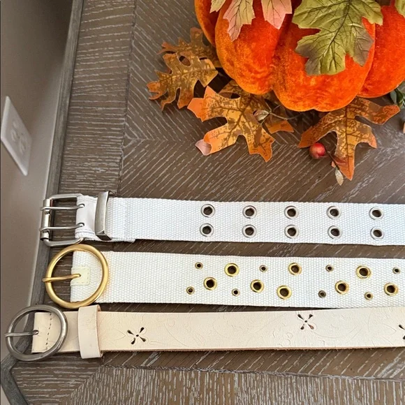 3 White Belts - Picture 1 of 9